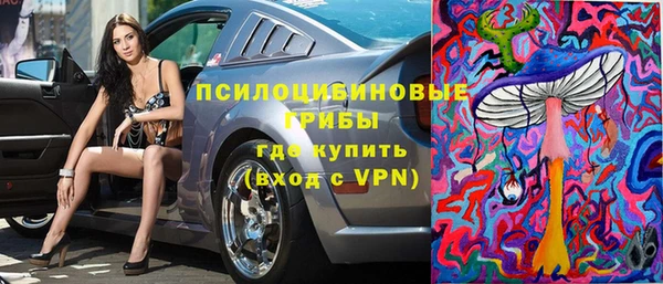 Альфа ПВП Дмитровск