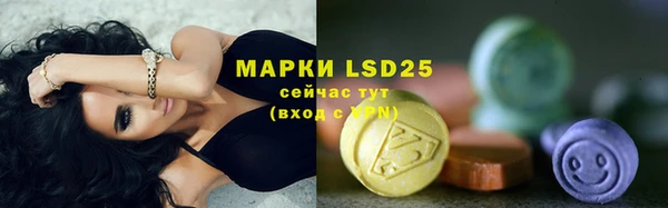 ECSTASY Дмитриев