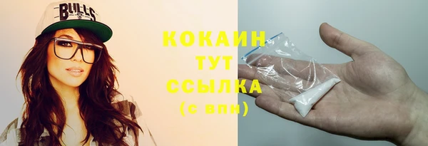 ECSTASY Дмитриев