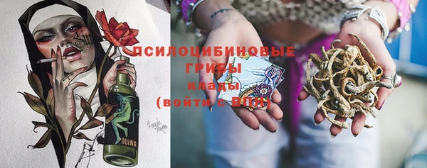 Альфа ПВП Дмитровск